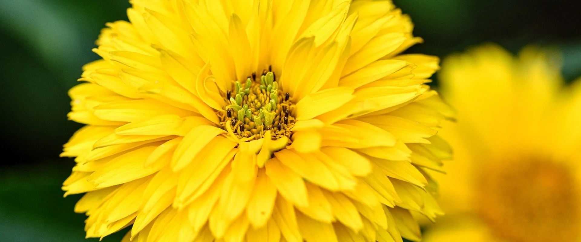 英雄联盟下注PG电子